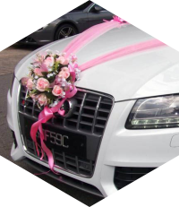 wedding car hire Goa